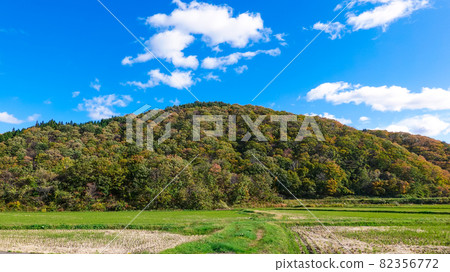 Autumn Hyakuzawa Highway (a mountain sightseeing road that runs between Mt. Iwaki and the Shirakami Mountains and connects Hirosaki and Ajigasawa on the Sea of Japan side) 82356772