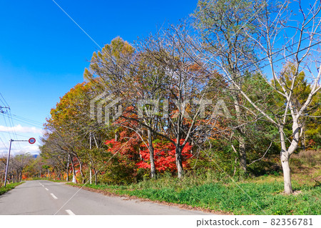 Autumn Hyakuzawa Highway (a mountain sightseeing road that runs between Mt. Iwaki and the Shirakami Mountains and connects Hirosaki and Ajigasawa on the Sea of Japan side) 82356781