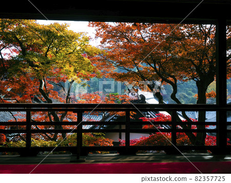 【京都】羊谷寺的秋葉 【京都】羊谷寺的秋葉 82357725