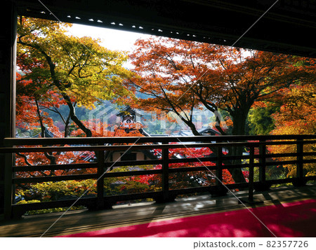 【京都】羊谷寺的秋葉 【京都】羊谷寺的秋葉 82357726
