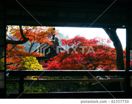 [Kyoto] Autumn leaves of Yangtani Temple 82357730