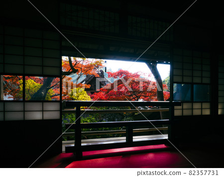 [Kyoto] Autumn leaves of Yangtani Temple 82357731