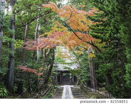 Kamakura / Autumn Sofukuji Temple approach 82358851