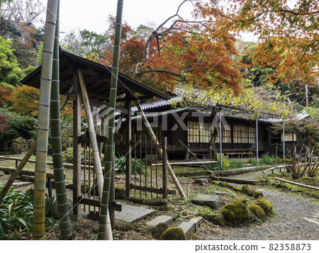 Kamakura / Eisho-ji Shoin and autumn leaves Kamakura / Eisho-ji Shoin and autumn leaves 82358873