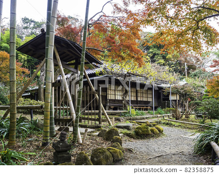 Kamakura / Eisho-ji Shoin and autumn leaves Kamakura / Eisho-ji Shoin and autumn leaves 82358875