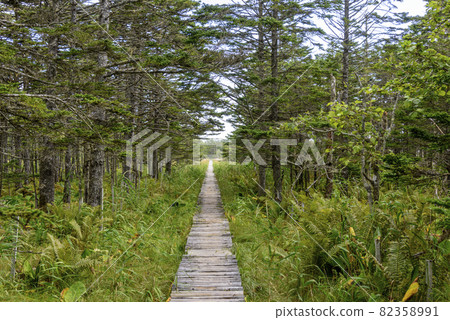 Cape Ochiishi and Lighthouse in Eastern Hokkaido Cape Ochiishi and Lighthouse in Eastern Hokkaido 82358991
