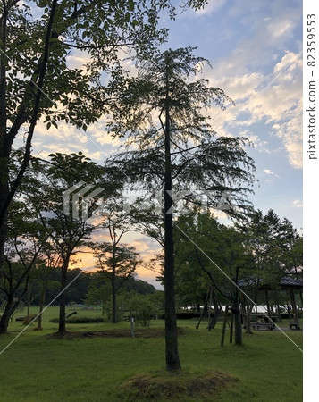 公園裡的日落景觀 公園裡的日落景觀 82359553