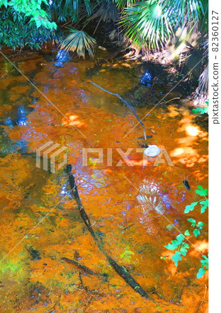 Scenery of the river that seems to be polluted by Hedro 82360127