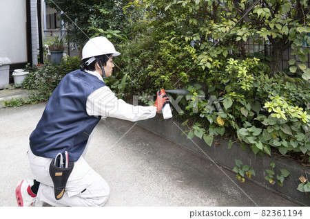 A male landscaping worker who sprays pesticides after pruning 82361194
