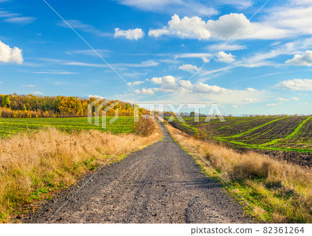 Fields and country road Fields and country road 82361264