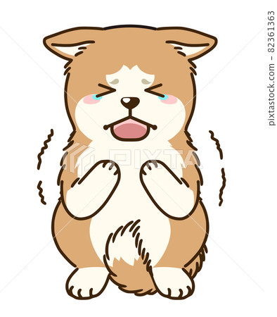 Frightened Akita dog 82361363