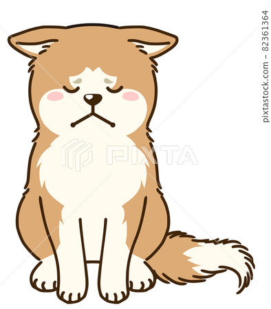 Depressed Akita dog Depressed Akita dog 82361364