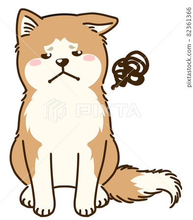 秋田犬看向別處 82361366