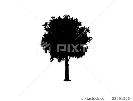 Beautiful tree vector silhouette icon vector illustration for nature websites and apps, logo template isolated on white background 82361936