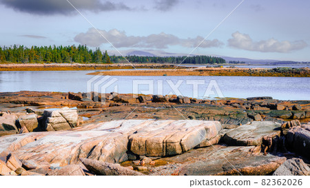 Acadia seashore 82362026