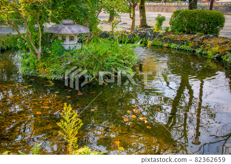 Autumn scenery floating on the lanterns and water surface: Fallen leaves and autumn leaves Autumn scenery floating on the lanterns and water surface: Fallen leaves and autumn leaves 82362659