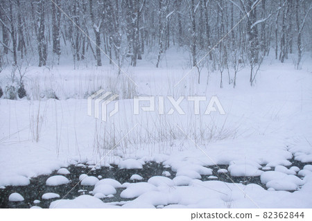 雪溪和森林 雪溪和森林 82362844