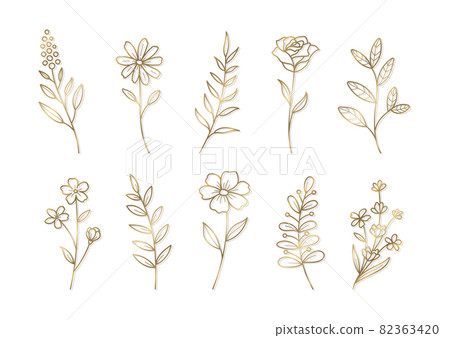 Illustration for flower decoration Design and graphic material Vector illustration set Golden line drawing 82363420