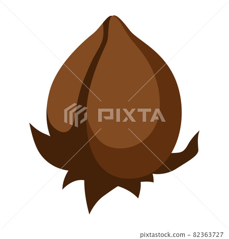 Stylized illustration of cotton inflorescence. Image for design or decoration. Stylized illustration of cotton inflorescence. Image for design or decoration. 82363727