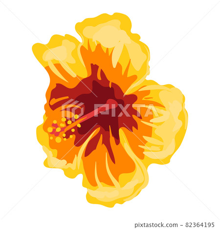 Stylized illustration of hibiscus flower. Image for design or decoration. 82364195