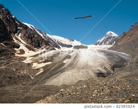 View of a glacier on a high-altitude plateau. An eagle over a glacier. View of a glacier on a high-altitude plateau. An eagle over a glacier. 82365024