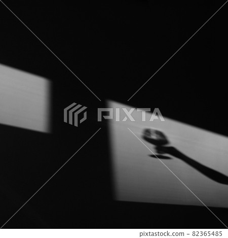 Shadow on the wall of a female sommelier with a glass of wine. Silhouette of a girl drinking wine. Chiaroscuro from the window Shadow on the wall of a female sommelier with a glass of wine. Silhouette of a girl drinking wine. Chiaroscuro from the window 82365485