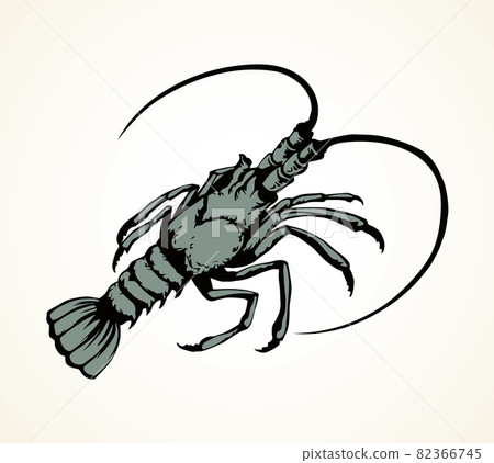 Lobster. Vector drawing Lobster. Vector drawing 82366745