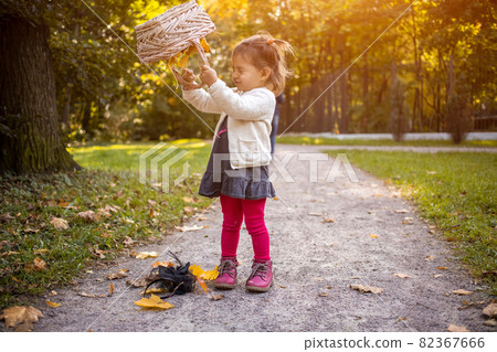 adorable toddler girl playing sunny autumn prak. cute baby girl pours autumn yellow leaves from a basket on forest path adorable toddler girl playing sunny autumn prak. cute baby girl pours autumn yellow leaves from a basket on forest path 82367666