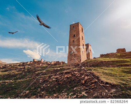 Eagles fly over the ruins and towers of the aul ghost Goor in Dagestan in the evening light. Eagles fly over the ruins and towers of the aul ghost Goor in Dagestan in the evening light. 82368264
