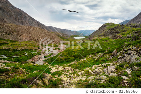 A swampy mountain valley, a dramatic rainy landscape with a stream and a rocky path in a gorge among green mountains. Altai Mountains. 82368566