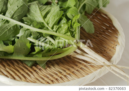 蘿蔔瘦肉 蘿蔔瘦肉 82370083