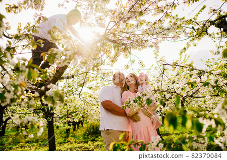 family with a baby daughter in spring flowering garden. cleft lip in infants. 82370084
