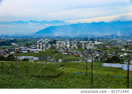 Katsunuma City, Yamanashi Prefecture Scenery of Katsunuma Vineyard 82371444