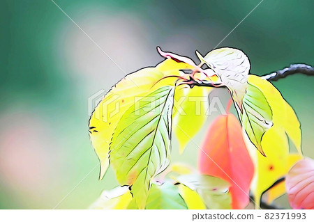 Pastel-like "leaf cherry blossom season" illustration image 82371993