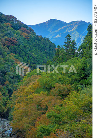 從東仙橋三背峽眺望 秋景 紅葉季節 從東仙橋三背峽眺望 秋景 紅葉季節 82372407
