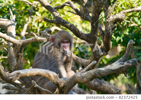 休息 休息 82372425