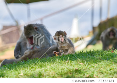 一家人團聚的時刻 82372584