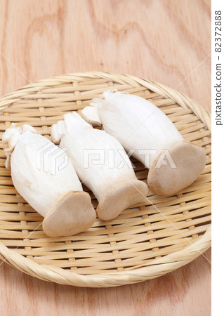 king oyster mushroom king oyster mushroom 82372888