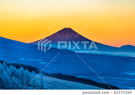 Kirigamine, Nagano Prefecture Early morning winter scenery 82375384