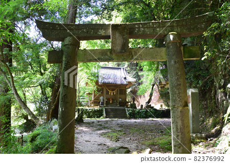 Yametsuhime Shrine and Torii Yametsuhime Shrine and Torii 82376992
