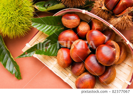 栗子 栗子 82377067