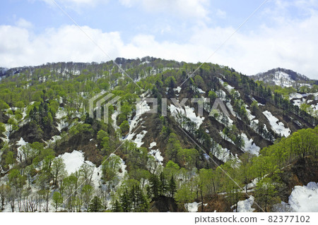 Mountain range in early summer along the Tsukiyama Road in Yamagata Prefecture 82377102