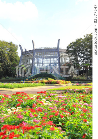 Sa玉縣川口市綠色中心花壇廣場和大型溫室 82377547