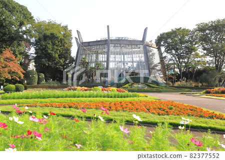 Sa玉縣川口市綠色中心花壇廣場和大型溫室 82377552