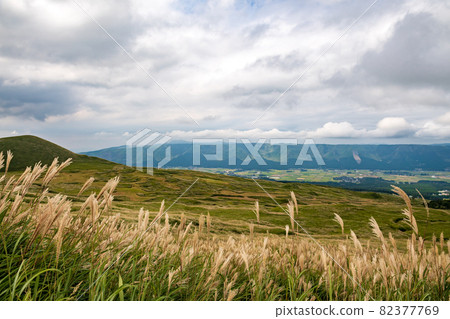 初秋日本蒲葦草原上的米塚和阿蘇風光 初秋日本蒲葦草原上的米塚和阿蘇風光 82377769