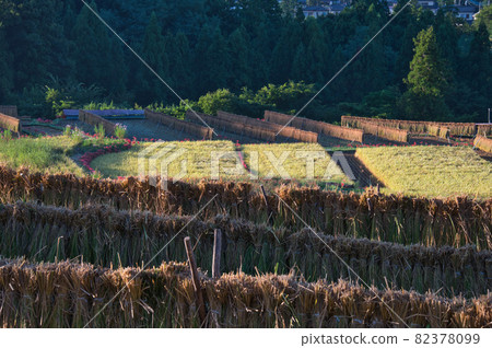 Scenery of Terasaka Rice Terrace with a hemming and seaming << Chichibu-gun >> Scenery of Terasaka Rice Terrace with a hemming and seaming << Chichibu-gun >> 82378099