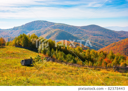 rural landscape in mountains. grassy fields on the hill. forest in colorful foliage. wonderful nature scenery of romania on a warm sunny autumn day rural landscape in mountains. grassy fields on the hill. forest in colorful foliage. wonderful nature scenery of romania on a warm sunny autumn day 82378443