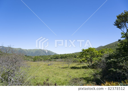 清澈的沼澤風景(櫪木縣那須鹽原市) 清澈的沼澤風景(櫪木縣那須鹽原市) 82378512