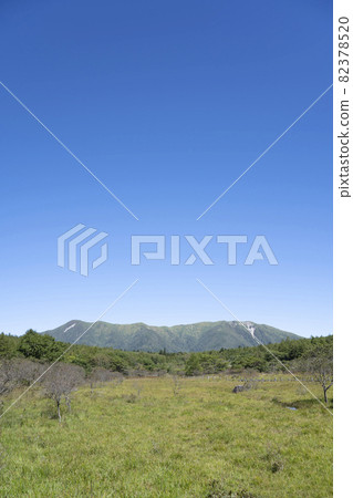 Scenery of the clear swamp marsh (Nasu-Shiobara City, Tochigi Prefecture) Scenery of the clear swamp marsh (Nasu-Shiobara City, Tochigi Prefecture) 82378520
