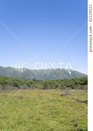 Scenery of the clear swamp marsh (Nasu-Shiobara City, Tochigi Prefecture) Scenery of the clear swamp marsh (Nasu-Shiobara City, Tochigi Prefecture) 82378521